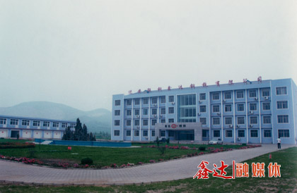 10月，遷安聯(lián)鋼鑫達鋼鐵有限公司成立；第一座128m3高爐點火生產(chǎn)。